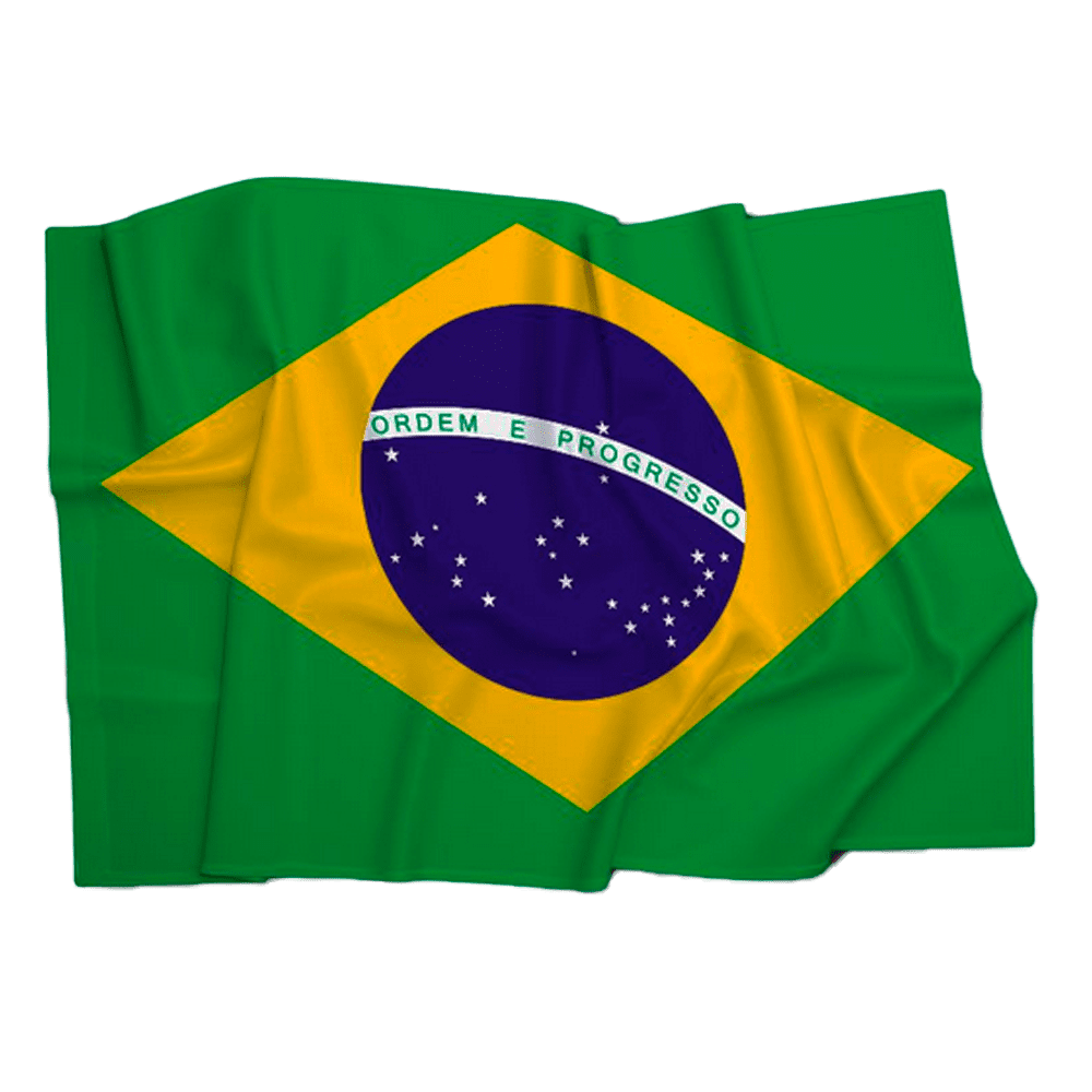 Bandeira Brasil 45x65 Spasso