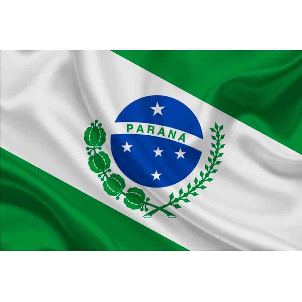 Bandeira Paraná 90x130 Spasso